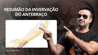 Resumão da invervação do antebraço  anatomiafacil [upl. by Kezer]