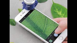 Reseña Discovery Smartphone Microscope [upl. by Zima]