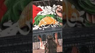 فلسطين حره [upl. by Oilegor239]