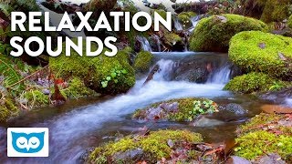 Babbling Brook Relaxation  2 Hours Relaxing Water Sounds [upl. by Ailima]