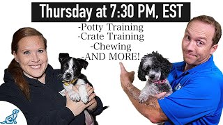 Puppy Training Troubleshooting  LIVE QampA [upl. by Harvison]