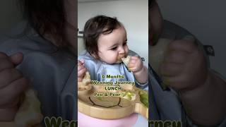 6 Months Weaning  🫛🍐 weaning baby 6months babyledweaning blw babynutrition weaningfood [upl. by Eelarat]