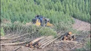 CAT 525C Skidder on Tightline 3021 Winch Assist [upl. by Larry]