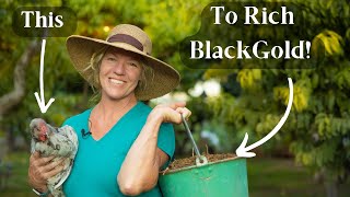 How to Make Chicken Manure Compost  Best Nitrogen Manure Source [upl. by Reklaw]