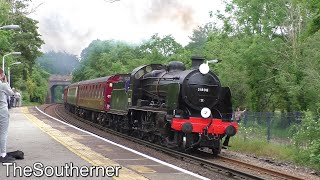 31806 amp 61306 quotMayflowerquot power through Hampshire  Steam Dreams Excursion 20062021 [upl. by Hakilam]