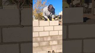 Skills work smart construction parati phoenix [upl. by Naillik]