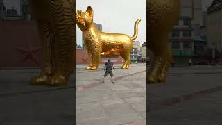 A boy throws a ball to unblock the golden statue of the big cat in the square Original golden stat [upl. by Ainotahs]