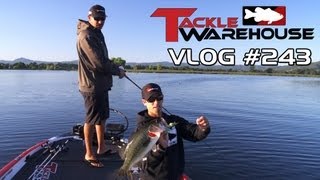 Fishing Clear Lake with Jared Lintner amp Michael quotIkequot Iaconelli Part 1  Tackle Warehouse VLOG 243 [upl. by Wooldridge]