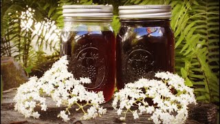 Come make elderberry cordial with me [upl. by Attenaej]