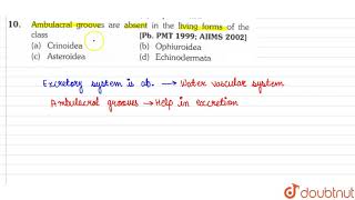 Ambulacral grooves are absent in the living forms of the class [upl. by Murdocca]