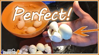 How To Make Perfect Hard Boiled Eggs That Peel Easily [upl. by Woodberry]