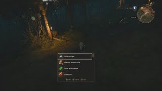 The Witcher 3 Leshen Mutagen Location [upl. by Ebag]