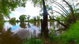 bord de rivière la Sarthe vers le Mans dans la région des Pays de la Loire Grand Ouest Français [upl. by Annavahs118]