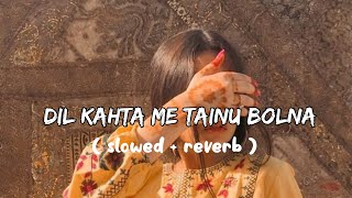 Dil Kehnda Main Tenu Bola Lyrics  slowed reverb  Lofi song [upl. by Durwin]