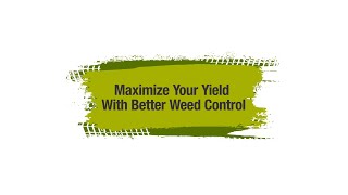 Maximize Your Yield With Better Weed Control [upl. by Bettzel624]