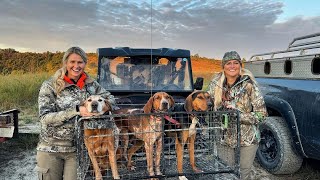 BEAR HUNTING WITH HOUNDS IN WEST VIRGINIA [upl. by Jacobba]