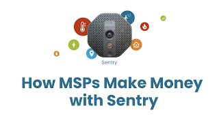 How MSPs are Making Money with Sentry [upl. by Genovera]