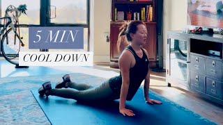 5 MIN FULL BODY COOL DOWN STRETCHES Recovery amp Flexibility [upl. by Floridia128]