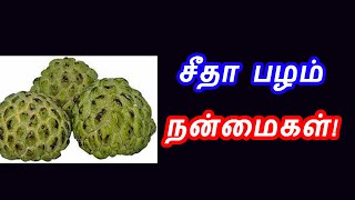 சீதா பழம் நன்மைகள்seetha pazham benefits in tamil [upl. by Mazman325]