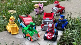 Looking PAW Patrol  PAW Patrol Toys  Everest Zuma Skye Marshall Rubble Chase  Video for kids [upl. by Anaiviv]