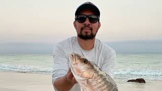 Pesca de Pargo snapper en Playa del Carmen fishing shimanostradic playadelcarmen [upl. by Buskus]