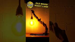 Wood Lamp  Night Lamp from Old DriftWood 💚 Reclaimed Wood woodworking shorts [upl. by Kristos]