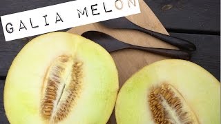 How to open and eat Galia Melon  Health Benefits [upl. by Eynaffit]