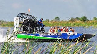 Florida Everglades Airboat Adventure and Wildlife Encounter [upl. by Ludeman]