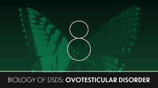 Biology of DSDs 8 Ovotesticular Disorder [upl. by Saleem]