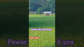 Pawar off pixel 6 pro100×Zoomingvairal video tranding shortshorts pixel 6proforyou [upl. by Aibara]