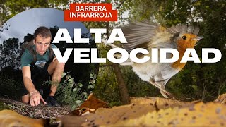 Fotografia de Alta Velocidad con Barrera Infrarroja  Tutorial [upl. by Assiran]