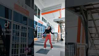 ForeverChris Brown Tiktok Dance Challenge [upl. by Kralc]