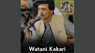 Watani Kakari Tapey [upl. by Karlan659]