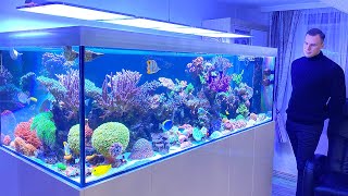 GERMAN REEF TANKS  quotnext levelquot Reef Aquarium TOUR  1500 liter  400 gallon  Acanthurus Achilles [upl. by Kohler]