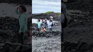 Punaluu Black Sand Beach bigislandhawaii [upl. by Rosette]