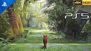 PS5 Stray is simply the Cutest game ever 4K HDR 60 FPS Gameplay [upl. by Nachison]