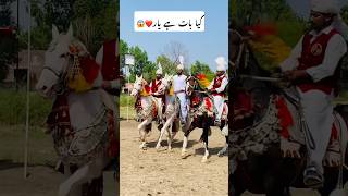 Tent pegging Epi 76 shortvideo championship rider 40ala viralvideo pakistan india horse [upl. by Royce]