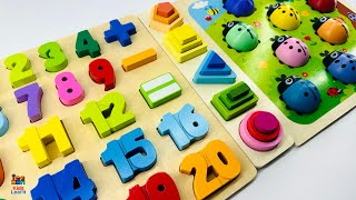 Best Learn Shapes Numbers amp Counting 1 to 20  Preschool Toddler Learning Toy Video [upl. by Ella]