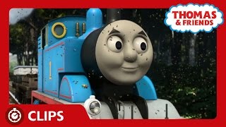 The Buzzy Bees  Clips  Thomas amp Friends [upl. by Bolton]