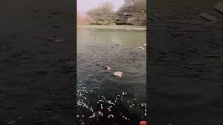 fish farming India Today publicmunishofficial12 [upl. by Elmira]