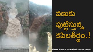 Shocking Floods Tirumala Hills Kapila Theertham Waterfalls [upl. by Enihpad]