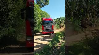 SCANIA R450 [upl. by Nayllij]