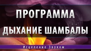 Программа Дыхание Шамбалы Эзотерическое Сообщество Космомагов [upl. by Eniahs]