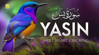 Surah Yasin Yaseen سورة يس  Beautiful voice heart touching  Zikrullah TV [upl. by Shanley]