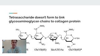 Faulty Glycosylation and EhlersDanlos Syndrome [upl. by Nue618]