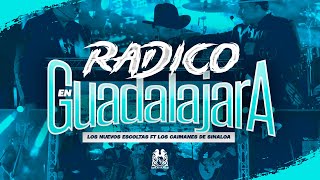 Los Nuevos Escoltas x Los Caimanes De Sinaloa  Radico en Guadalajara En Vivo [upl. by Bahe]