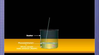 Action of Acid on Alkaline Neutralisation [upl. by Prior108]