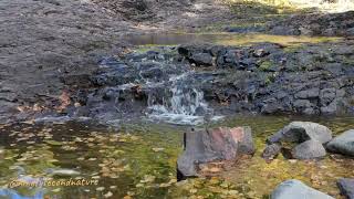 Onion River in fall [upl. by Stranger]