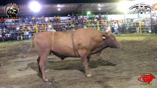 Monta Isla De Ometepe 2018 [upl. by Luhey645]