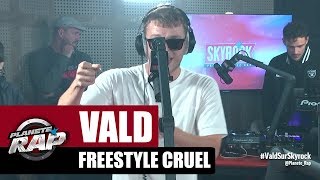 Vald  Freestyle Cruel RecordBattu PlanèteRap [upl. by Norre597]